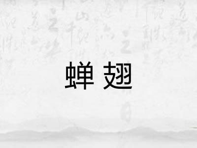 蝉翅