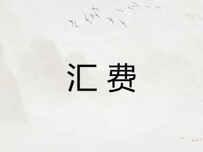 汇费