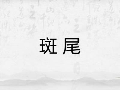 斑尾