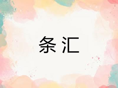 条汇