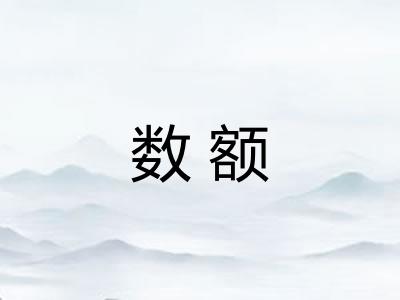 数额