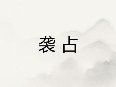 袭占