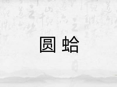 圆蛤