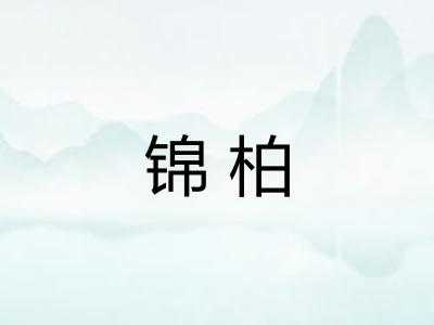 锦柏