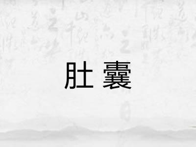 肚囊