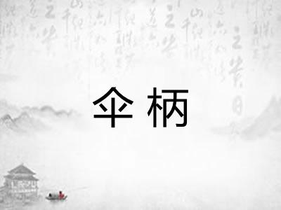 伞柄
