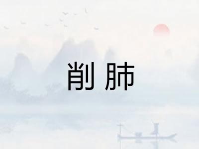 削肺 削肺