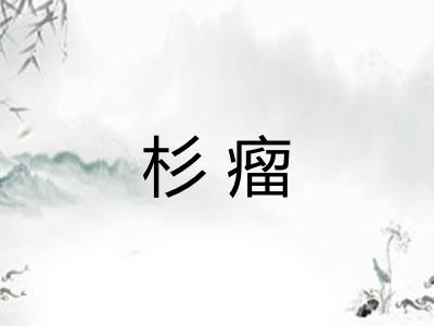 杉瘤