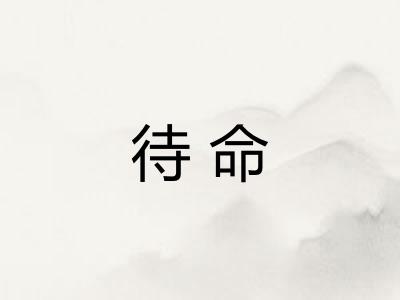 待命