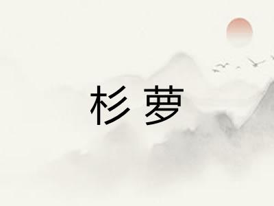 杉萝