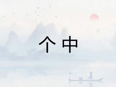 个中