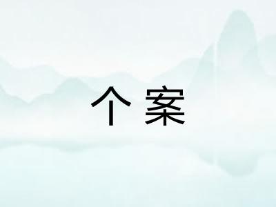 个案 个案