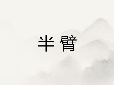 半臂