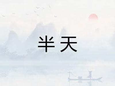 半天