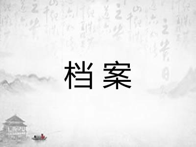 档案
