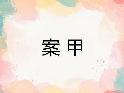 案甲