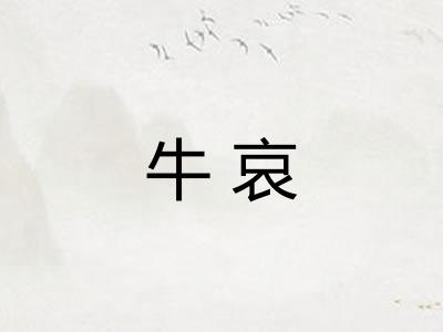 牛哀