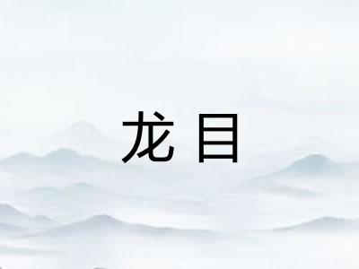 龙目