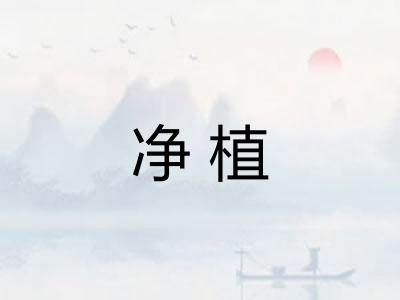 净植