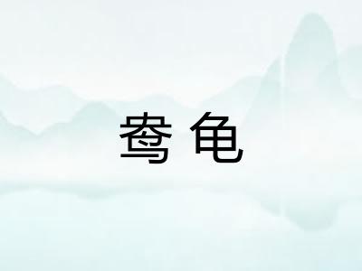鸯龟