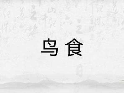 鸟食 鸟食
