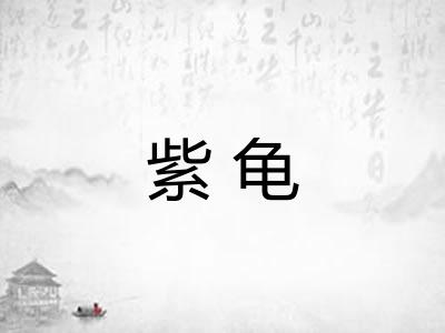 紫龟