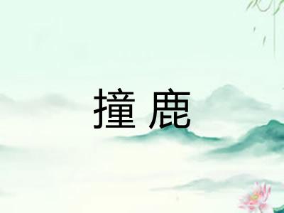 撞鹿