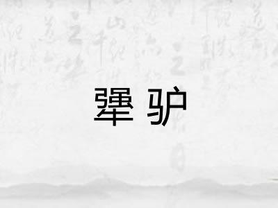 犟驴 犟驴