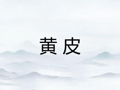 黄皮