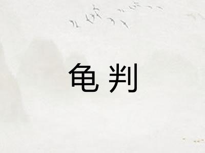 龟判