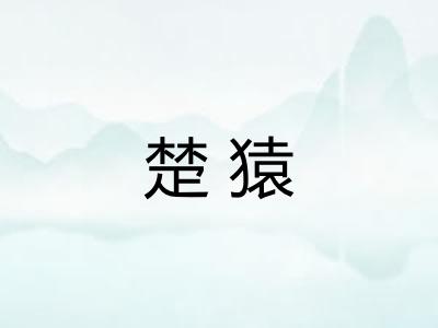 楚猿