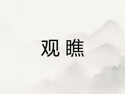 观瞧