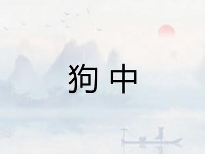 狗中