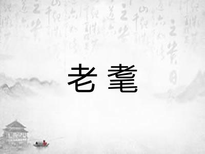 老耄 老耄