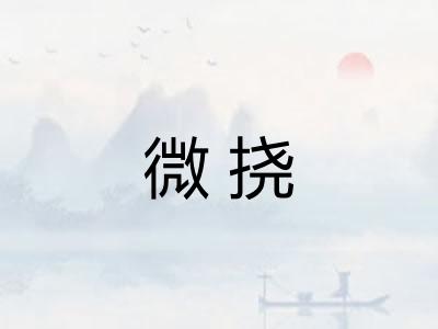 微挠