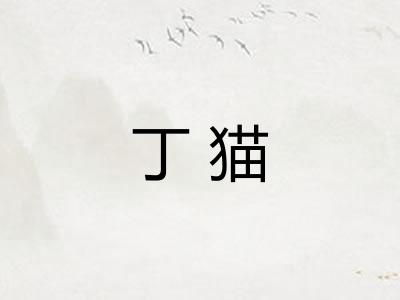丁猫
