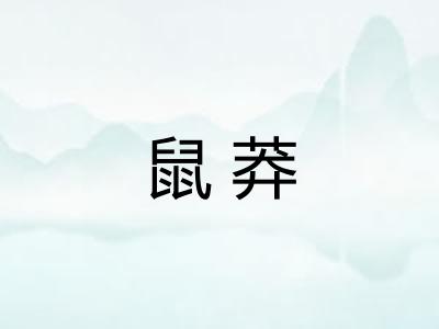 鼠莽