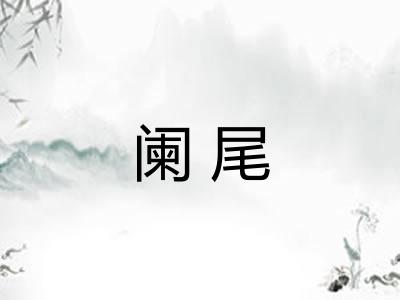 阑尾