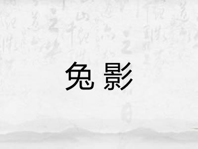 兔影