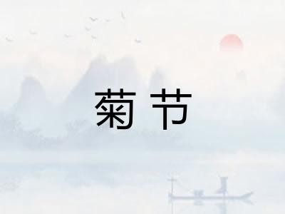 菊节