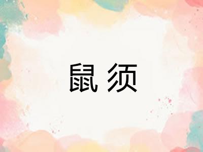 鼠须