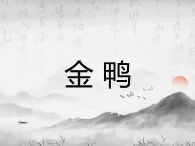 金鸭