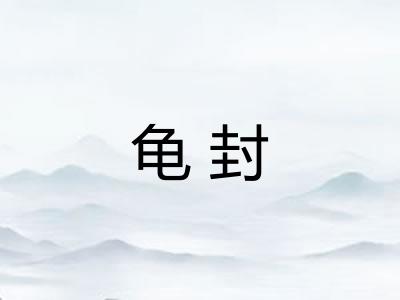 龟封