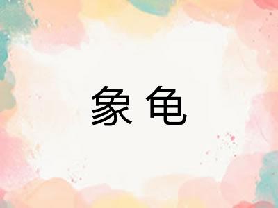 象龟