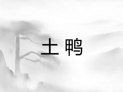 土鸭