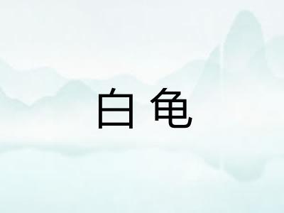白龟