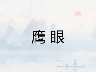 鹰眼 鹰眼