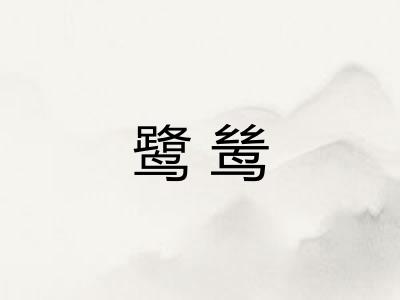 鹭鸶