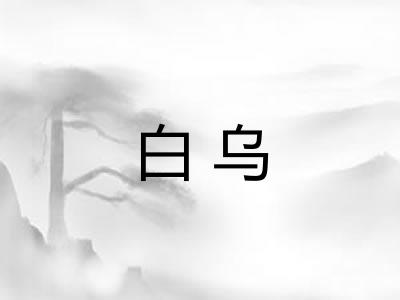 白乌