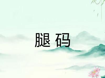 腿码